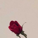 sweater-empress avatar