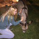 sweatpants-and-bread avatar