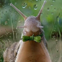 sweaty-vs-sweety avatar