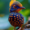 sweatycowboywizard avatar