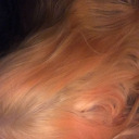 sweatygoopuniversitypsychic avatar