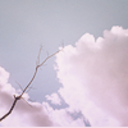 swedish-fitness avatar