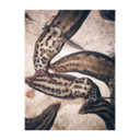 sweet-as-c6h12o6 avatar