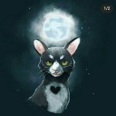 sweet-cherryuwu avatar