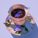 sweet-honey22 avatar