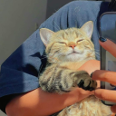 sweet-pink000 avatar