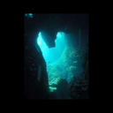 sweet-summer-nights avatar