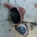 sweet-sweet-sweet-sweet-pie avatar