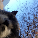 sweet-tea-and-sin avatar