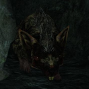 sweet-temperedsludge avatar