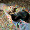 sweet-tragxdy avatar