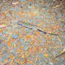 sweetandsaltycomplex avatar