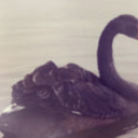 sweetangell1111 avatar