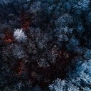 sweetasthesun1 avatar