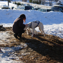 sweetcoldhope-blog-blog avatar