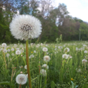 sweetcreatortimetravel avatar