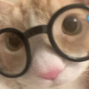 sweetcrimson0 avatar