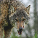 sweetdreamsalwaystrytoleave avatar