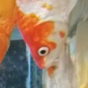 sweetdreamsn0nightmares avatar