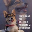 sweeter-disposition avatar