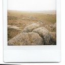 sweeter-than-mango avatar