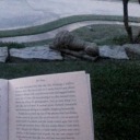 sweetest-bookworm avatar