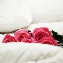 sweetestkittysblog avatar