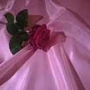 sweetganjababy888 avatar