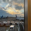 sweetieprogress avatar