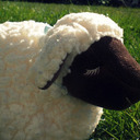 sweetiesheep avatar