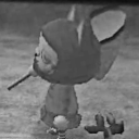 sweetiespider avatar