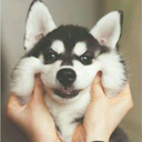 sweetietea123 avatar