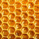 sweetlikehoney28 avatar