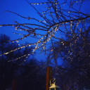 sweetloves-stuff18 avatar