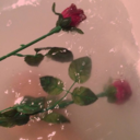 sweetmelodrama avatar