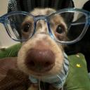 sweetmotherofearl avatar