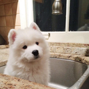 sweetnerdychic avatar