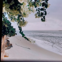 sweetnesshase avatar