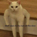 sweetnsoftyoongi avatar