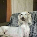 sweetnutavenue avatar