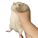 sweetpastillas avatar