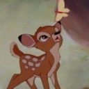 sweetpea-daisy avatar