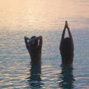 sweetpeanis-blog avatar