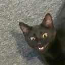 sweetpotaterz avatar