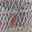 sweetpsychosblog avatar