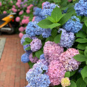 sweetsaltyair14 avatar