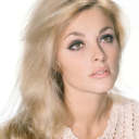 sweetsamberry avatar