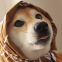 sweetshibes avatar