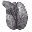 sweetspicy-xoxo avatar