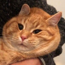 sweetstuffiemilk avatar